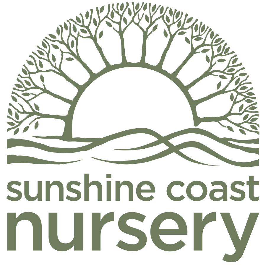 Sunshine Coast Nursery