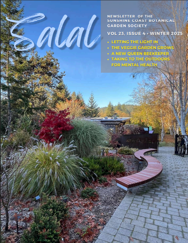 A screenshot of the cover of Winter issue of Salal. Five photos of Board Members alongside their profiles. The title reads "Welcome to the Garden Society Board 2024-25"