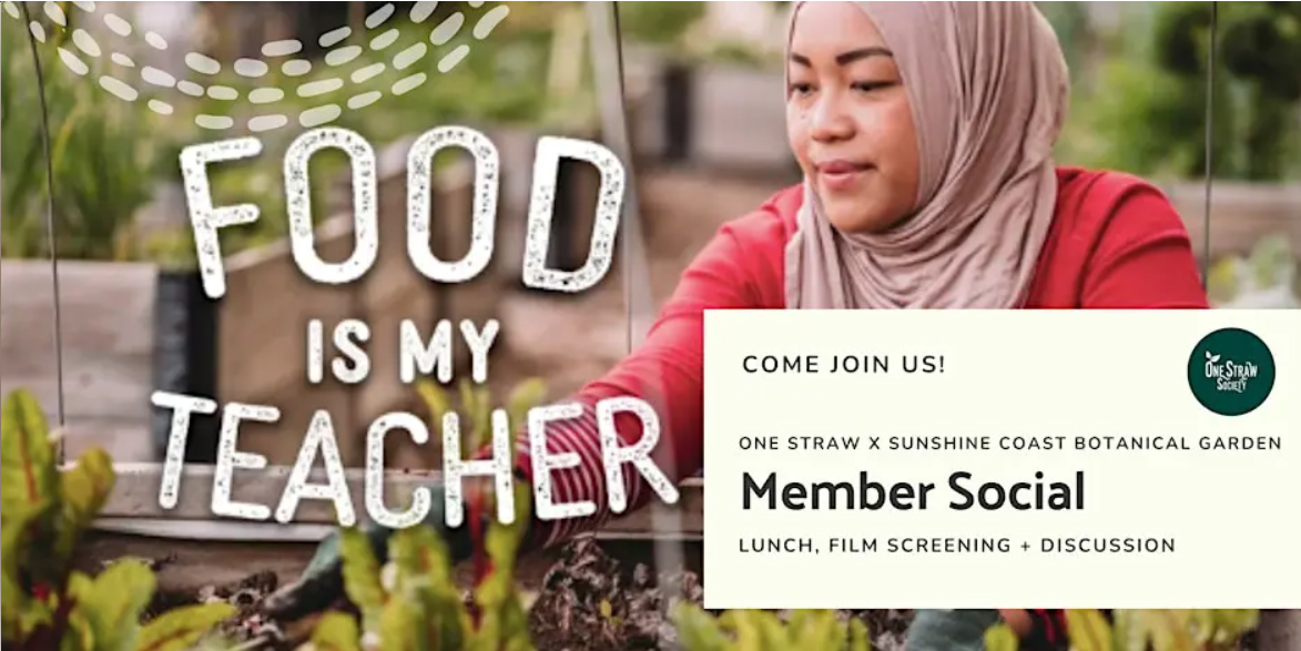 A photo of a group of people birdwatching.