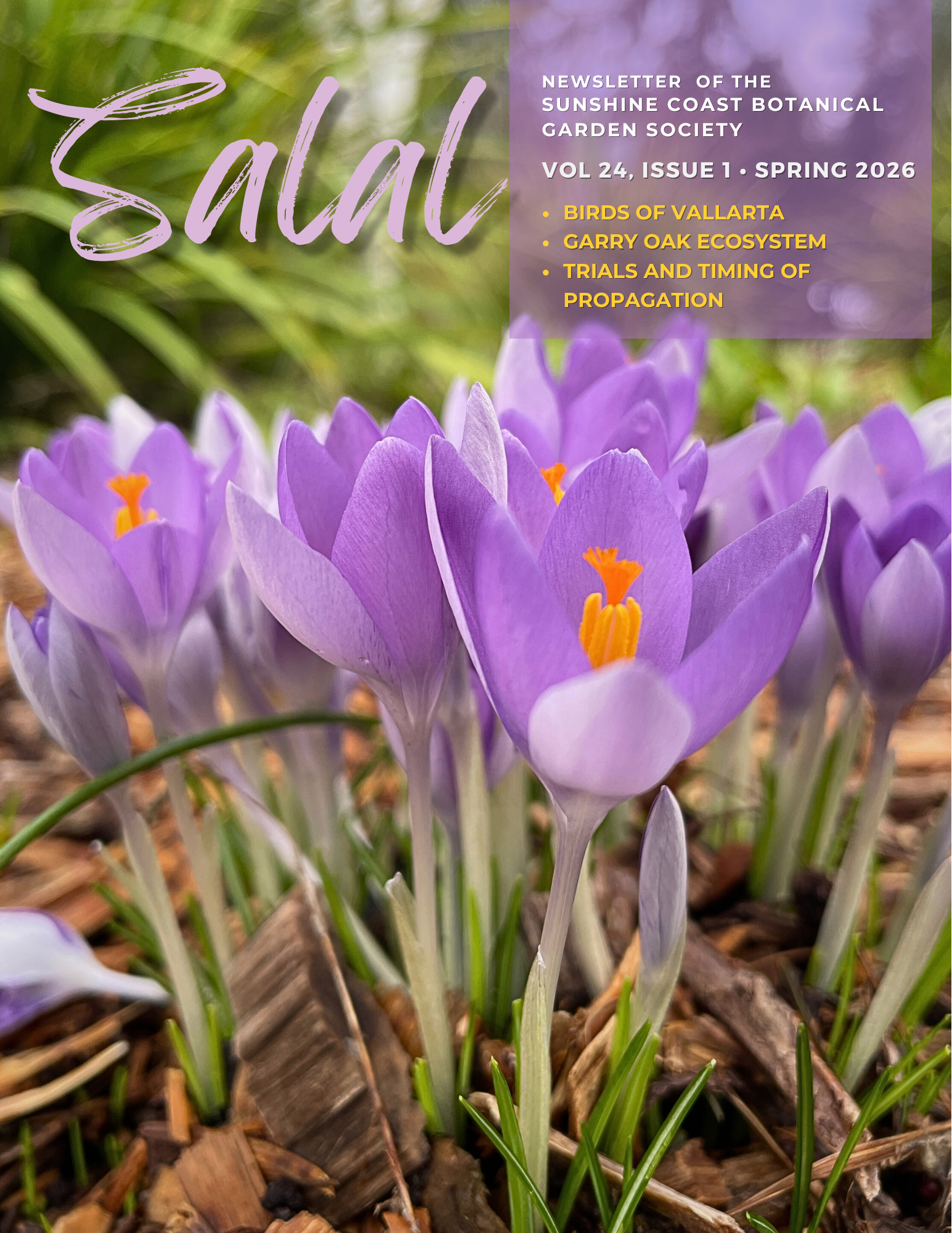 A screenshot of the cover of Winter issue of Salal. Five photos of Board Members alongside their profiles. The title reads "Welcome to the Garden Society Board 2024-25"